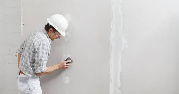 Best Biohazard Mold Removal  in Carson City, MI
